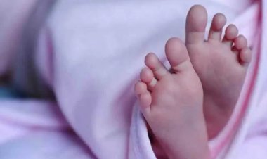 தூத்துக்குடியில் பச்சிளம் குழந்தை சாலையில் வீச்சு : போலீஸ் விசாரணை!