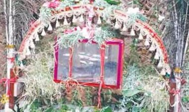 திருச்செந்தூரில் சர்ப்பக்காவடி பறிமுதல் - ஏழு ஆண்டுகள் சிறை தண்டனை விதிக்கப்டும் என வனத்துறை கடும் எச்சரிக்கை