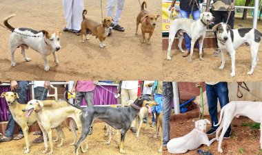 திருச்செந்தூரில் நாளை (ஜன.22) நாய்கள் கண்காட்சி, சிறப்பு பரிசோதனை முகாம்!!