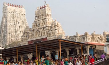 திருச்செந்தூர் கோவில் அன்னதான உண்டியல் மூலம் ரூ.28 லட்சம் வருமானம்!!