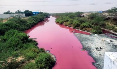 மீன் ஆலைகளின் கழிவுகளால் செந்நிறமாக மாறிய தூத்துக்குடி உப்பாற்று ஓடை.. பொதுமக்கள் அதிர்ச்சி..