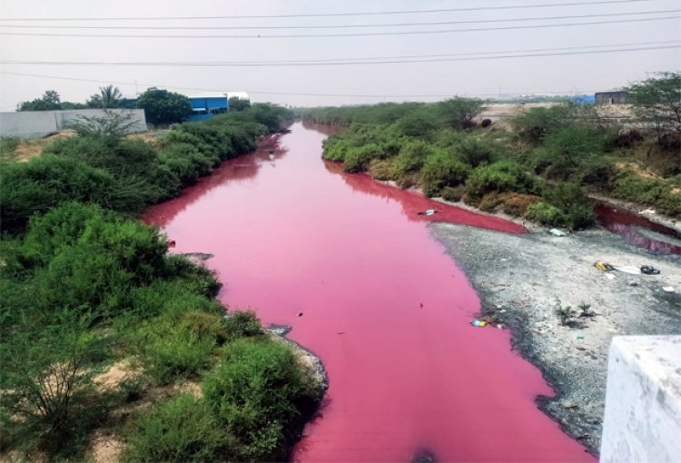 மீன் ஆலைகளின் கழிவுகளால் செந்நிறமாக மாறிய தூத்துக்குடி உப்பாற்று ஓடை.. பொதுமக்கள் அதிர்ச்சி..