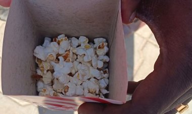 திருச்செந்தூர் அருகே தியேட்டர் கேண்டீன் பாப்கார்னில் கரப்பான் பூச்சி : பொதுமக்கள் அதிர்ச்சி!