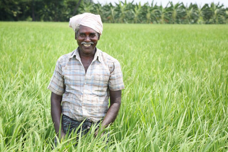 விளாத்திகுளம் பகுதியில் விவசாய விளைபொருட்களை இருப்பு வைக்கலாம்: ரூ.3 லட்சம் வரை கடன் பெறலாம்!