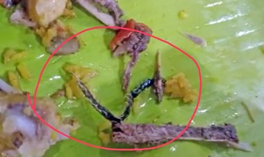 சாத்தான்குளம் அருகே பரபரப்பு... பிரியாணியில் பூரான் : பொதுமக்கள் அதிர்ச்சி..!