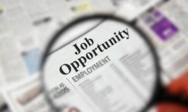 தூத்துக்குடி அரசு மருத்துவமனையில் ரூ.60,000 சம்பளத்தில் வேலை : விண்ணப்பங்கள் வரவேற்பு!!