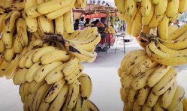 பொருளாதார சிக்கலால் ஒரு டஜன் வாழைப்பழம் விலை ரூ.500!