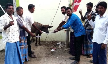 தூத்துக்குடி மாநகராட்சி நிர்வாகத்தை கண்டித்து முத்தையாபுரம் பகுதியில்  எருமை மாட்டிடம் மனு கொடுத்து போராட்டம்..!