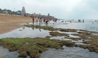 திருச்செந்தூரில் கடல் திடீரென 100 அடிக்கு உள்வாங்கியதால் பரபரப்பு!