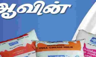 ஆவின் பணி நியமன முறைகேடு விவகாரம்: தூத்துக்குடி பணியாளர்களுக்கு நோட்டீஸ்!