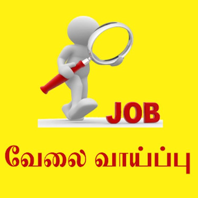 தூத்துக்குடி மாவட்டத்தில் நாளை ஏப்.13ல் தனியார் வேலைவாய்ப்பு முகாம் : ஆட்சியர் தகவல்