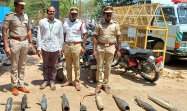 பைக்குகளில் அதிக ஒலி எழுப்பும் சைலன்சர்கள் அகற்றம் : தூத்துக்குடியில் போக்குவரத்து துறை, போலீசார் அதிரடி!