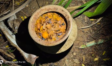 கள்ளச்சாராய ஊறல் வைத்திருந்தவர் கைது - 15 லிட்டர் கள்ளச்சாராய ஊறல் பறிமுதல்!