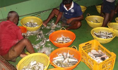 தூத்துக்குடியில் முதல் நாளே ஏமாற்றத்துடன் திரும்பிய மீனவர்கள்!