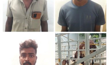 விளாத்திகுளம் அருகே ஆடுகள் திருடிய 3பேர் கைது: லோடு வேன் பறிமுதல்!