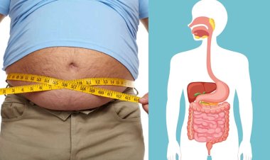 டெய்லி காலையில இந்த 5 விஷயத்தை பண்ணா போதுமாம்...பானை மாதிரி வீங்கி இருக்கும் உங்க வயித்த ஈஸியா குறைக்கலமாம்!