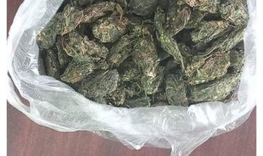 திருச்செந்தூர் ரோடு பகுதியில் விற்பனைக்காக கஞ்சா வைத்திருந்த 4 எதிரிகள் கைது - 1200 கிராம் கஞ்சா பறிமுதல்.