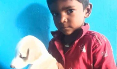 தூத்துக்குடி  கிழக்கு கடற்கரை சாலையில்  மாட்டின் மீது பைக் மோதிய விபத்தில் அரசு மருத்துவமனையில் சிகிச்சை பலனின்றி 7 வயது சிறுவன்  உயிரிழப்பு!