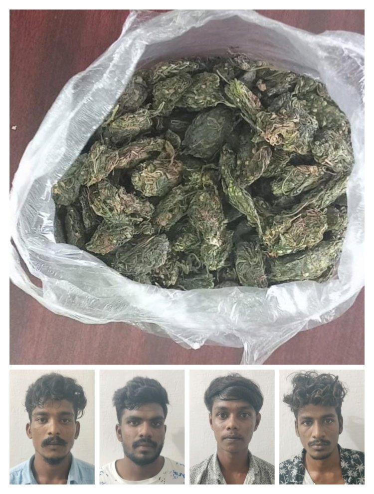 திருச்செந்தூர் ரோடு பகுதியில் விற்பனைக்காக கஞ்சா வைத்திருந்த 4 எதிரிகள் கைது - 1200 கிராம் கஞ்சா பறிமுதல்.