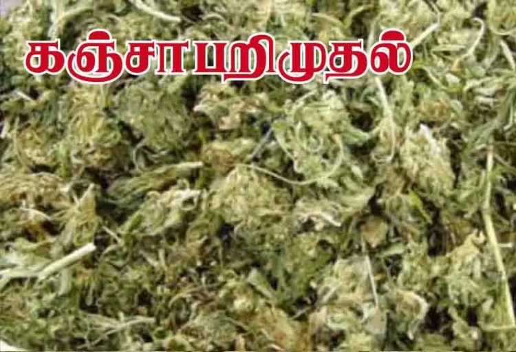 தூத்துக்குடி அருகே காரில் கடத்தி வந்த 540 கிலோ கஞ்சா பறிமுதல்: ஒருவர் கைது!