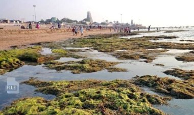 திருச்செந்தூரில் 100 அடிக்கு உள்வாங்கிய கடல் : காவல்துறை எச்சரிக்கை!!