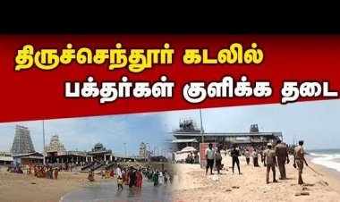 திருச்செந்தூர் கடலில் ஜெல்லி மீன்கள் அதிகரிப்பு : பக்தர்கள் குளிக்க தடை!