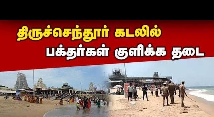 திருச்செந்தூர் கடலில் ஜெல்லி மீன்கள் அதிகரிப்பு : பக்தர்கள் குளிக்க தடை!