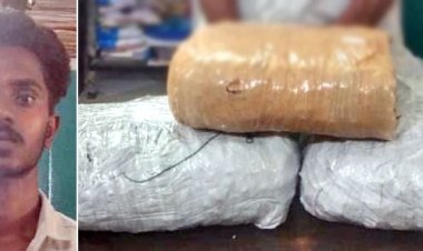 தூத்துக்குடியில் 5¾ கிலோ கஞ்சா பறிமுதல்: வாலிபர் கைது!