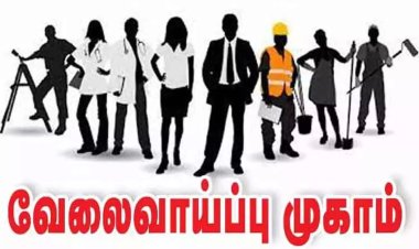 தூத்துக்குடியில் 19ஆம் தேதி மாபெரும் தனியார்துறை வேலைவாய்ப்பு முகாம்: ஆட்சியர் தகவல்!