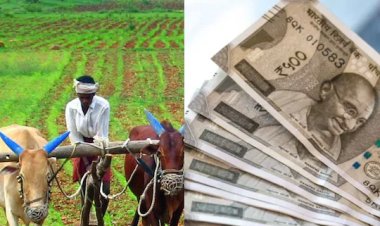 பிரதமா் கிசான் திட்டத்தில் இகேஒய்சி பதிவு : விவசாயிகளுக்கு ஆட்சியர் வேண்டுகோள்