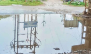 தூத்துக்குடி 3-ம் கேட் மேம்பாலத்தின் கீழ் மரனக்குழி : சீரமைக்க சிபி எம் கோரிக்கை..!