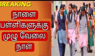 தூத்துக்குடி மாவட்டத்தில் நாளை பள்ளிகளுக்கு முழு வேலை நாள்: முதன்மைக் கல்வி அலுவலர் அறிவிப்பு