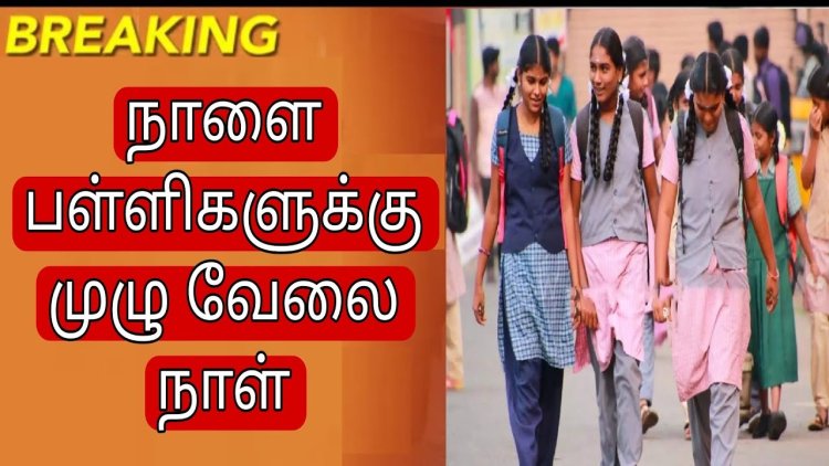 தூத்துக்குடி மாவட்டத்தில் நாளை பள்ளிகளுக்கு முழு வேலை நாள்: முதன்மைக் கல்வி அலுவலர் அறிவிப்பு