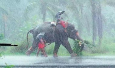 ”கேரளாவில் தொடங்கியது தென்மேற்கு பருவமழை” – வானிலை மையம் கொடுத்த அப்டேட்.!