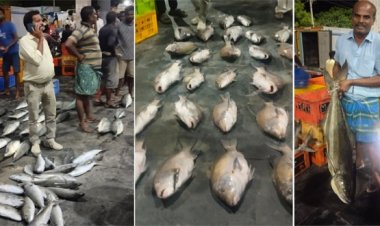 தூத்துக்குடியில் கேரள மீன் வியாபாரிகள் குவிந்ததால்  : மீன்களின் விலை 3 மடங்கு உயர்வு!