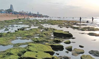 திருச்செந்தூர் கோவில் அருகே 100 அடி தூரம் கடல் உள்வாங்கியது!!