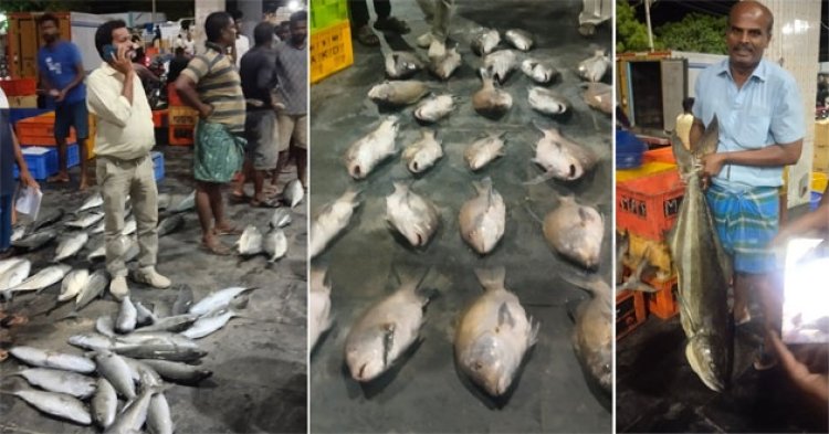 தூத்துக்குடியில் கேரள மீன் வியாபாரிகள் குவிந்ததால்  : மீன்களின் விலை 3 மடங்கு உயர்வு!