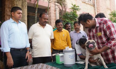 நாய்களுக்கு ரேபிஸ் வெறிநோய் தடுப்பூசி முகாம் : மேயர் , ஆணையர் பங்கேற்பு!