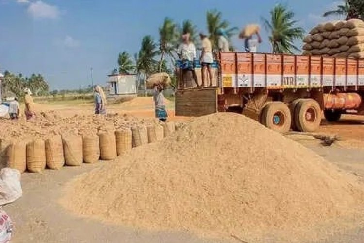 31 ஜூலை கடைசி தேதி... 8ம் வகுப்பு தேர்ச்சி பெற்றவர்களுக்கு தூத்துக்குடி நெல் கொள்முதல் நிலையத்தில் வேலை!