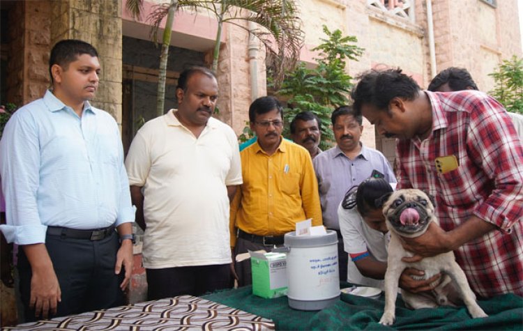 நாய்களுக்கு ரேபிஸ் வெறிநோய் தடுப்பூசி முகாம் : மேயர் , ஆணையர் பங்கேற்பு!