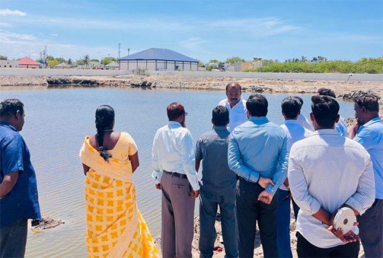 தூத்துக்குடி ஸ்டெம் பார்க் பகுதியில் குளம் அமைக்கும் பணி : மேயர் ஜெகன் பெரியசாமி ஆய்வு!