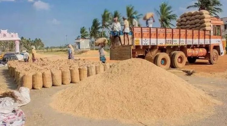 31 ஜூலை கடைசி தேதி... 8ம் வகுப்பு தேர்ச்சி பெற்றவர்களுக்கு தூத்துக்குடி நெல் கொள்முதல் நிலையத்தில் வேலை!