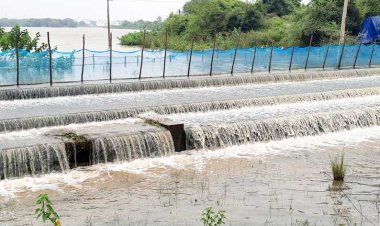 தொடர் மழை: நெல்லை, தூத்துக்குடியில் 67 குளங்கள் நிரம்பின!