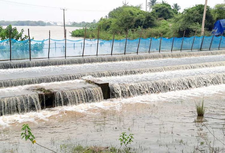 தொடர் மழை: நெல்லை, தூத்துக்குடியில் 67 குளங்கள் நிரம்பின!
