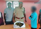கோவில்பட்டியில் 2 கிலோ கஞ்சா பறிமுதல்: வாலிபர் கைது..!