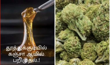 தூத்துக்குடியில் ரூ.1 கோடி மதிப்பிலான கஞ்சா ஆயில் பறிமுதல்: 2பேர் கைது!