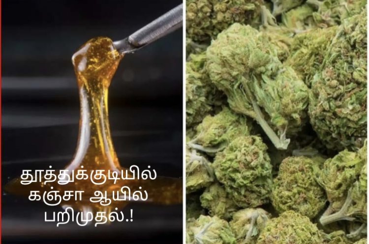 தூத்துக்குடியில் ரூ.1 கோடி மதிப்பிலான கஞ்சா ஆயில் பறிமுதல்: 2பேர் கைது!