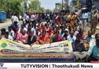 கருணை நியமனம் குறைப்பு உள்ளிட்ட 9 கோரிக்கைகள்: தூத்துக்குடியில் வருவாய்துறை ஊழியர்கள் மறியல் போராட்டம்