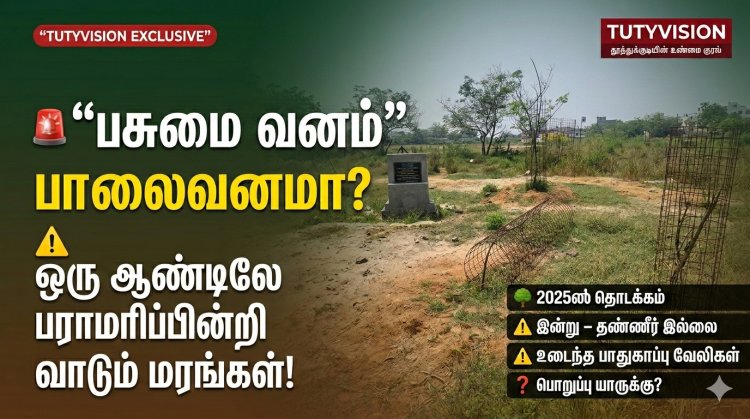 “பசுமை வனம்” பாலைவனமா? துவங்கிய ஒரு வருடத்திலே பராமரிப்பின்றி வாடும் மரங்கள்!