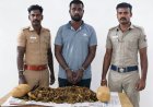 தூத்துக்குடியில் 8 கிலோ கஞ்சா பறிமுதல்: இருசக்கர வாகனத்தில் விற்பனைக்கு கொண்டு வந்த வாலிபர் கைது